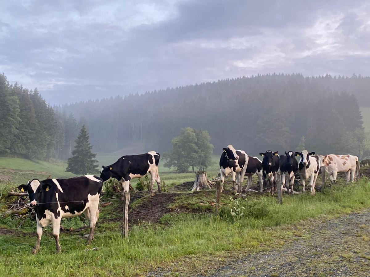 17 Am Berg Leilighet Winterberg Eksteriør bilde