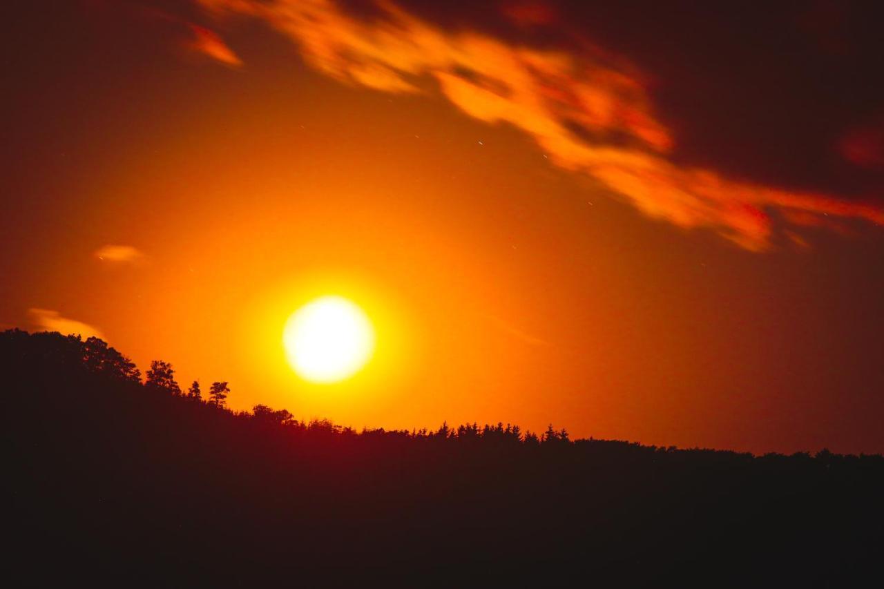 17 Am Berg Leilighet Winterberg Eksteriør bilde