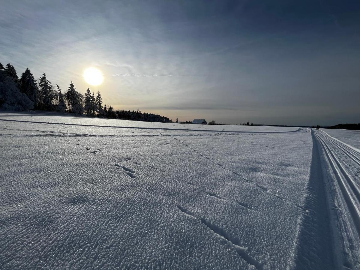 17 Am Berg Leilighet Winterberg Eksteriør bilde